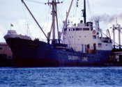 Wilcommen, No. 0080 Saiship Line Shipping Vessel